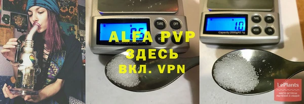 спайс Богданович