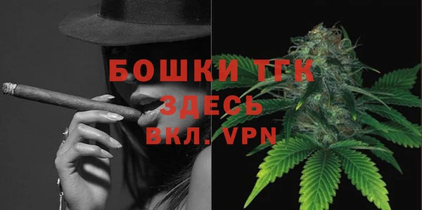 спайс Богданович
