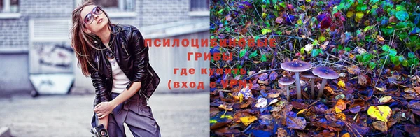 спайс Богданович