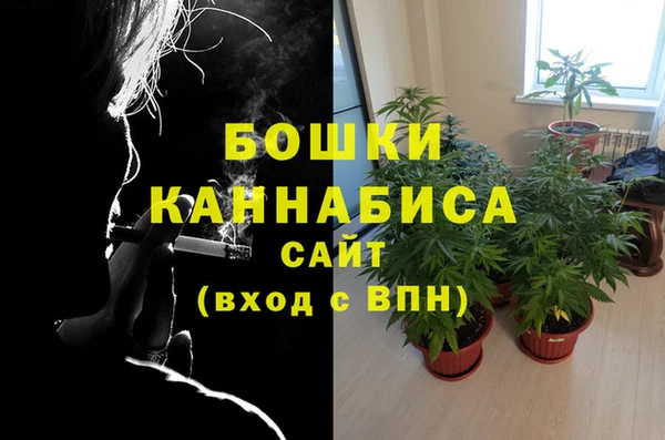 спайс Богданович