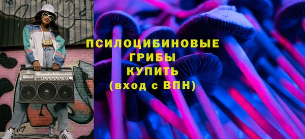 дурь Богородск