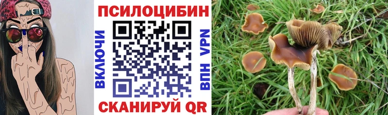 Галлюциногенные грибы Psilocybe  Сланцы 